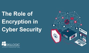 The Role of Encryption in Cyber Security