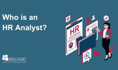 Who is an HR Analyst?