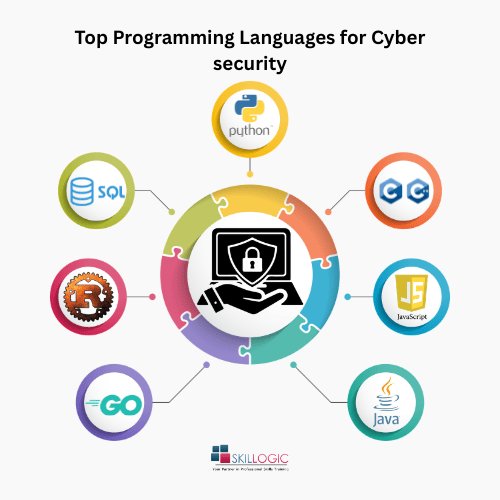 Top Programming Languages for Cybersecurity