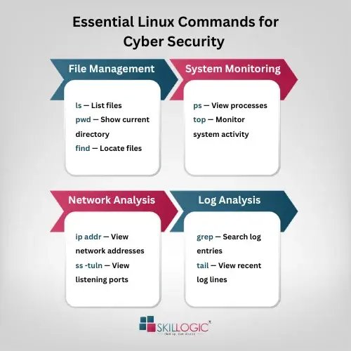 Essential Linux commands for cybersecurity, including file management, system monitoring, network analysis, and log analysis commands.