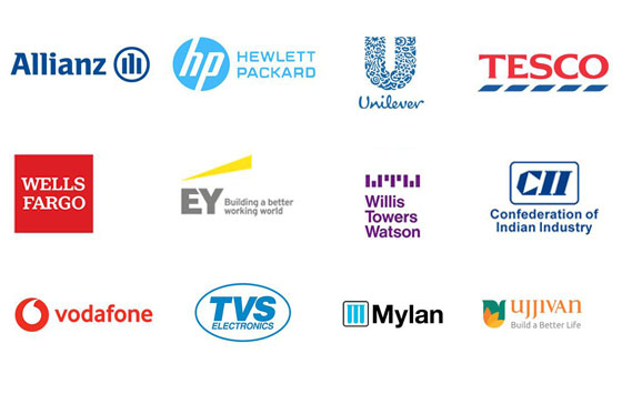 allianze image not display